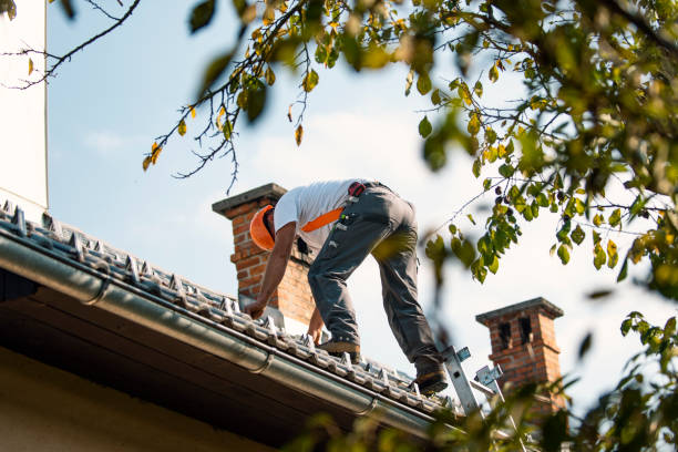 Best Roof Gutter Cleaning  in Alamo, CA