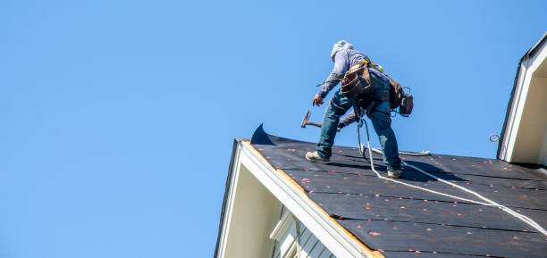 Best Storm Damage Roof Repair  in Alamo, CA